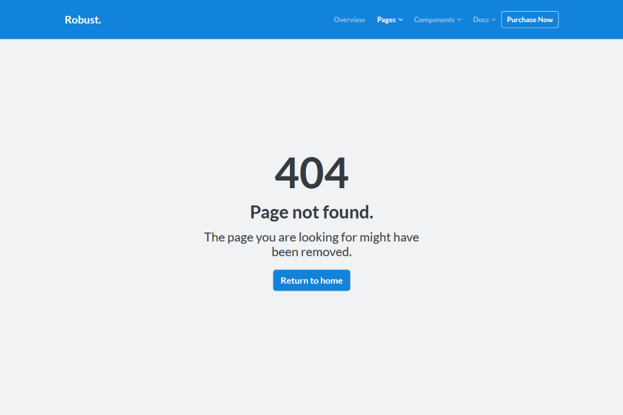 404 Page